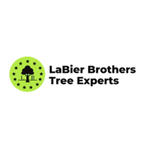 labier tree | Maths teacher