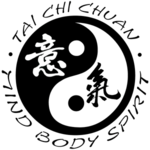 Stephen Brown | Tai Chi 3rd Duan Wei instructor