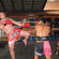 lee mayo | muay thai boxing martial arts sport kickboxing instructor