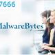 Malwarebytes phone number that is fast and efficient